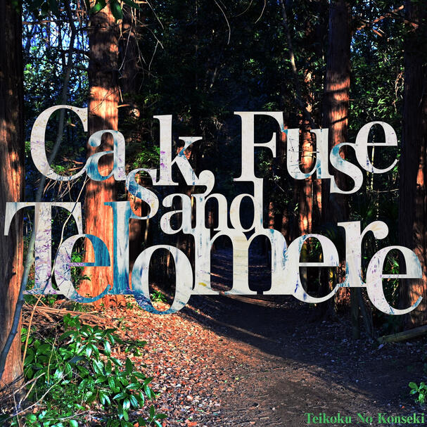 Cask, Fuse and Telomere - Teikoku No Konseki Cask, Fuse and Telomere - Teikoku No Konseki